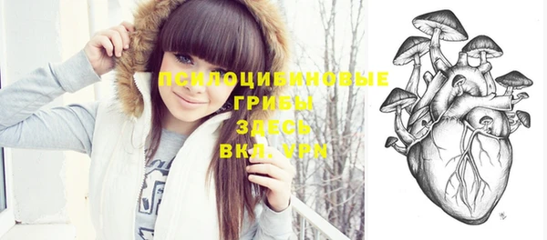 экстази Богданович