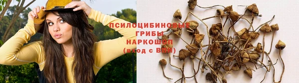 экстази Богданович