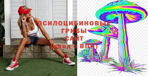 ГАЛЛЮЦИНОГЕННЫЕ ГРИБЫ Богородицк