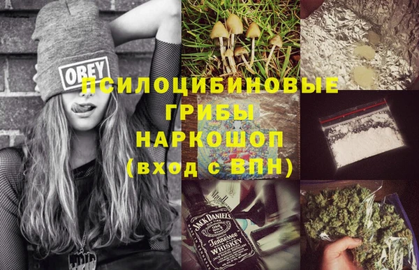 экстази Богданович