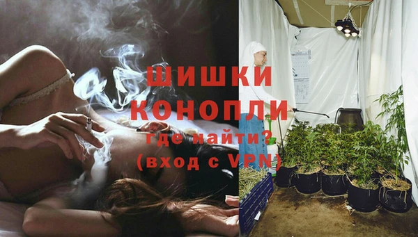 ГАЛЛЮЦИНОГЕННЫЕ ГРИБЫ Богородицк