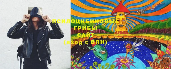экстази Богданович