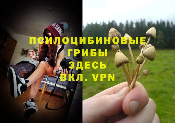 ГАЛЛЮЦИНОГЕННЫЕ ГРИБЫ Богородицк
