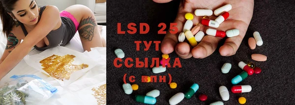 ГАЛЛЮЦИНОГЕННЫЕ ГРИБЫ Богородицк