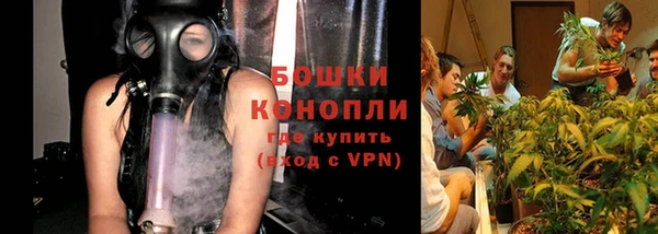ГАЛЛЮЦИНОГЕННЫЕ ГРИБЫ Богородск