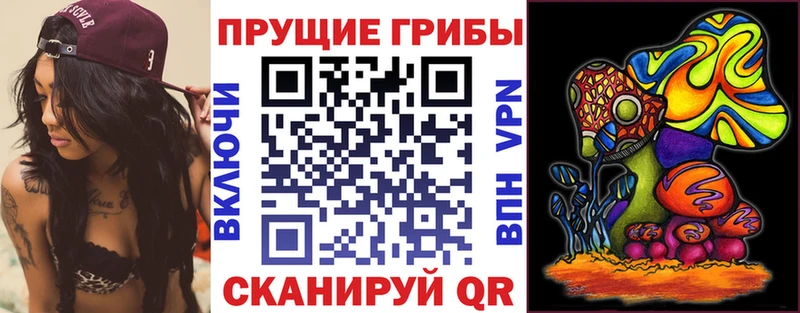 Псилоцибиновые грибы GOLDEN TEACHER  Клинцы 